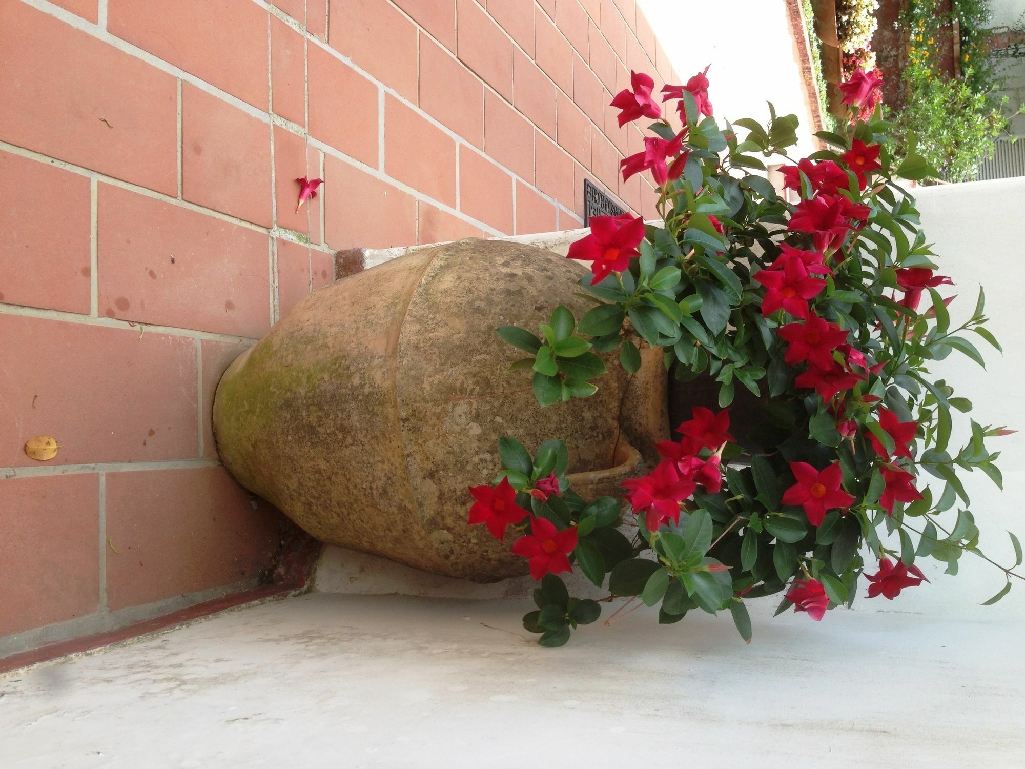 Mediterraneo Bed & Breakfast Anacapri  Exterior photo